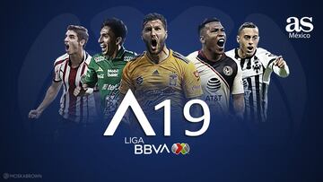 La Liga MX está de regreso y en esta ocasión tendremos a dos nuevos equipos, lo que otorgará dos fechas más en el próximo torneo.