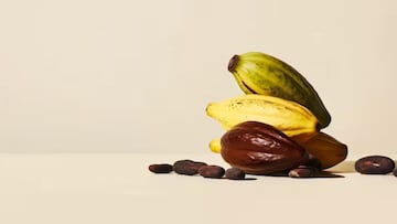 Ni café ni huevos: la industria de este alimento que todos consumimos ha llegado a un punto crítico y sus precios se van a disparar