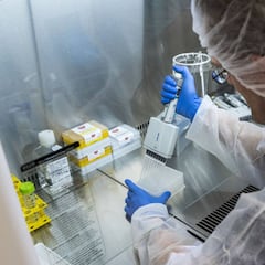 Descubren anticuerpos "poderosos" capaces de eliminar el coronavirus