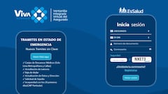 Bono 760 para trabajadores en suspensión perfecta de labores: link a la plataforma VIVA EsSalud