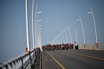 El pelotón durante la décima etapa del Tour de Francia sobre un recorrido de 168 kilómetros entre Île d'Oleron y la meta de la Île de Ré.