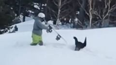 Snowboarder se enfrenta con su tabla de snowboard a un urogallo cabreado por haberle tirado nieve.
