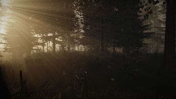 Captura de pantalla - The Forest (PC)