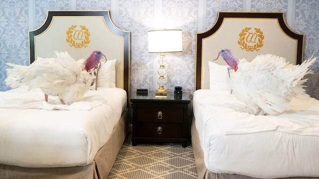 For several decades at the White House a corny ceremony has taken place where the president pardons a turkey or two but subjects the public to bad puns.