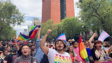 Conoce las mejores recomendaciones y tips para asistir a la Marcha del Orgullo LGBT en CDMX este 2025.