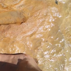 Hallan en Doñana huellas humanas y de animales de más de 100.000 años