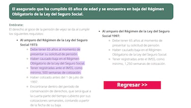 Las razones más comunes por las que puedes perder tu Pensión IMSS este 2025