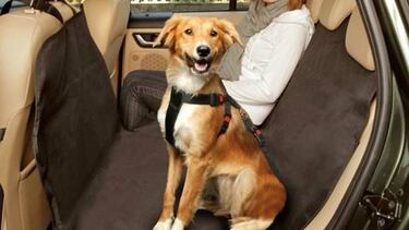 Accesorios para el coche que harán tus viajes más cómodos