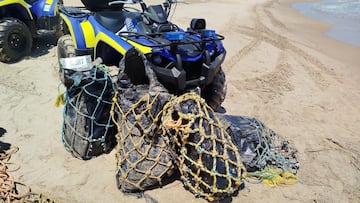 Aparece en una playa de Valencia un alijo de 120 kilos de coca¨ªna