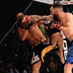 Wasabi y Juanma Suárez, reyes del AFL-14 en Las Palmas