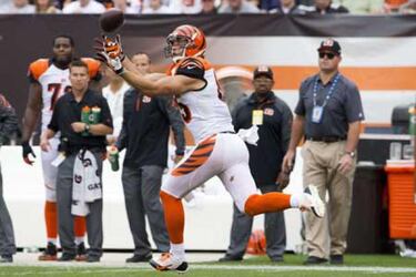 TRIBUNA LIBRE: Bernard y Eifert, dos novatos revolucionan a los Bengals