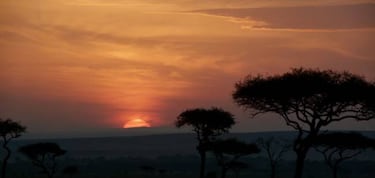 El Rey León y 10 semejanzas entre ‘live action’ y dibujos animados