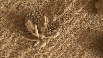 “Fascinante descubrimiento” del rover Curiosity de la NASA en Marte: plantea nuevas preguntas