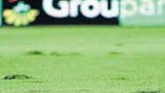 El césped de N.C. marcará los tiempos de la mudanza