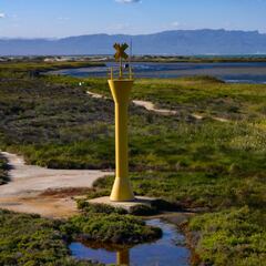 Alerta roja en el Delta del Ebro