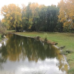 El Cross Mariano Haro da inicio a la temporada en Palencia