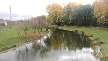 Imagen del Parque Ribera Sur de Palencia, que acogerá el Cross Mariano Haro.