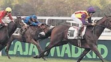 <b>BOABDIL Y MEJÍA. </b>El madridista Mejía cosechó un segundo puesto con Emerald Princess.