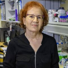 Margarita del Val señala el gran foco de transmisión de la COVID