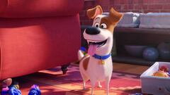 Ya está aquí 'Mascotas 2'