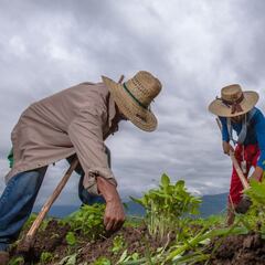 Revelados por Bienestar los montos exactos que se depositarán en su programa social en 2025