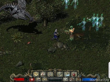 Divine Divinity (PC)