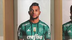 Palmeiras, colombianos y su estadio a fondo