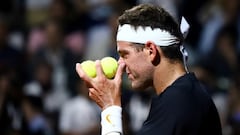 Del Potro, un campeón a golpes