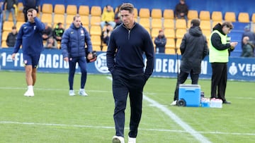 Fernando Torres, técnico del Madrileño.