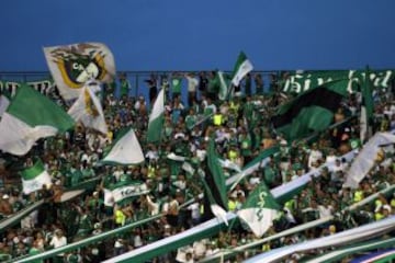 La afición del Deportivo Cali se encargó de la fiesta en la tribuna. El juego de ida de la final de la Liga Águila se pintó de verdiblanco.