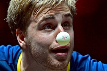 A menudo el instante en el que se toma una fotografía puede generar imágenes que creen ilusiones ópticas que nos
conduzcan a la confusión. Es el caso de esta, en la que su protagonista no luce una nariz postiza para caracterizarse de
payaso. Es el sueco Truls Moregard jugando al tenis de mesa con el japonés Yukiya Uda en el torneo China Smash.