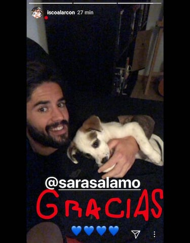 Sara Sálamo regala a Isco un nuevo mejor amigo