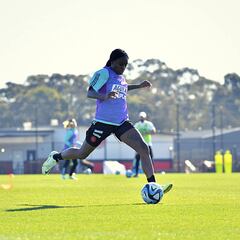 ¿Qué dijo la FCF sobre suspensión del partido Colombia-Irlanda?