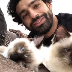 Salah protesta contra el gobierno de Egipto posando con sus gatos