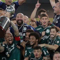 Palmeiras y un posible bicampeonato 20 años después