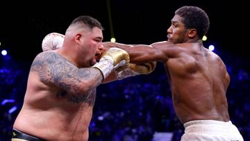 A solo unos d&iacute;as de haber ca&iacute;do ante el brit&aacute;nico Anthony Joshua, Andy Ruiz ha vuelto a los entrenamientos y busca conquistar de nuevo los cinturones.