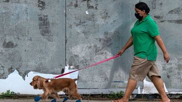 Cuarentena en Panamá y Panamá Oeste: horarios del toque de queda por cédula y sexo