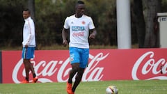 Alternativas que podría acercar Colombia antes del Mundial