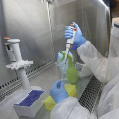 Coronavirus Chile: ¿es la ivermectina útil para tratar el COVID-19?