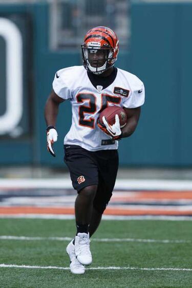 ASÍ LOS VEMOS: Cincinnati Bengals (AFC Norte)