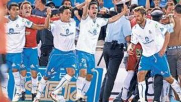 <b>INVASIÓN. </b>Los jugadores del Tenerife celebran el segundo gol mientras intentan evitar que el público salte al césped del Heliodoro.
