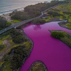 El estanque que ha cambiado de color y nadie conoce las causas