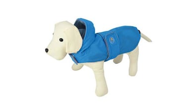 Complementos y ropa para perros: abrígalo este invierno