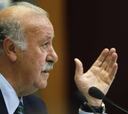 Del Bosque: "En otros países no atacan ni pisotean la bandera"