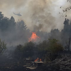 Madrid o Antolusia: Esta es la comunidad española, que ha causado muchos incendios forestales en el área