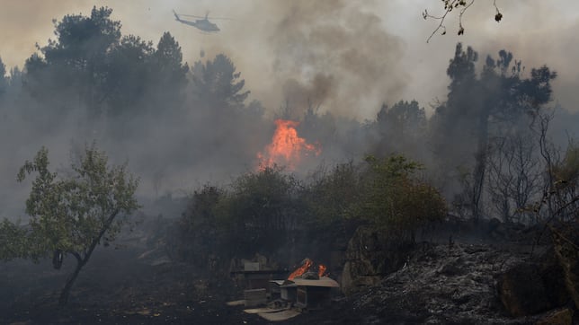 Ni Madrid ni Andalucía: esta es la comunidad española en la que ha habido más incendios forestales desde que hay registros