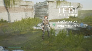 Dónde encontrar las esencias de vida y fuerza