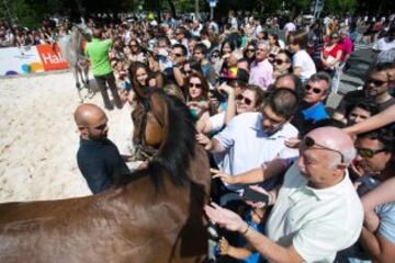 Las carreras de caballos regresan a la Castellana