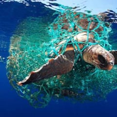 Crean ‘plástico vivo’ que se autodestruye al final de su vida útil