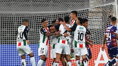 Palestino se gradúa de copero
